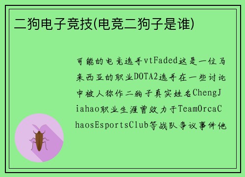 二狗电子竞技(电竞二狗子是谁)